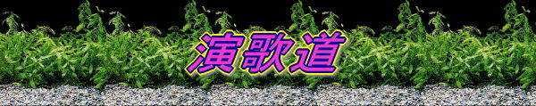 ̓